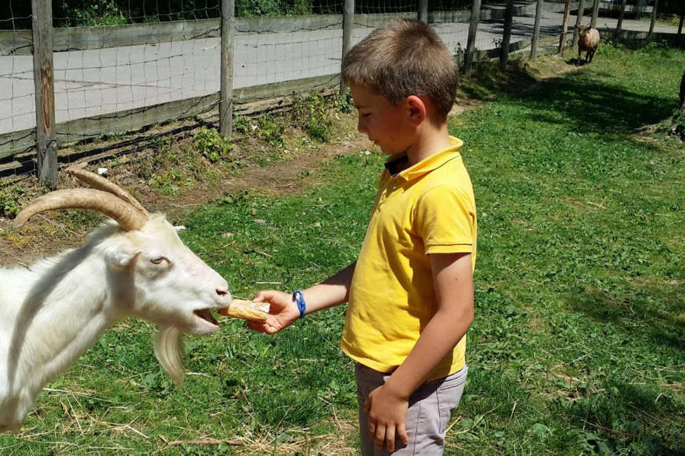 Colonie de vacances équitation