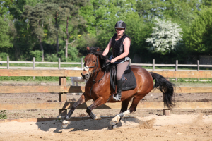 Au galop pendant le séjour équitation et cuisine