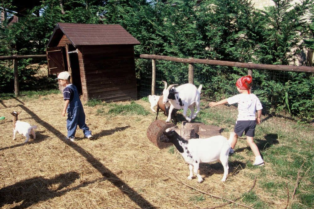 Les enfants sont en train de réaliser les petits travaux de la ferme pendant leur séjour aux Terrasses Cavaliers en herbe et petits fermier