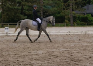 Une de nos équidé à l'école de Formanoir est en sortie concours dressage