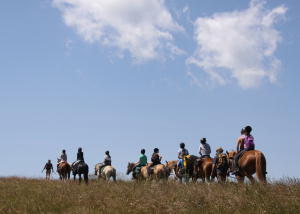 Un groupe d'enfant est un train de faire une randonnée à poney en pleine nature de Bourgogne