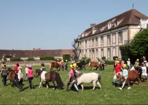 Les chevaliers et leurs poneys réalisent une activité près du château des Terrasses Cavaliers en herbe et petits fermiers