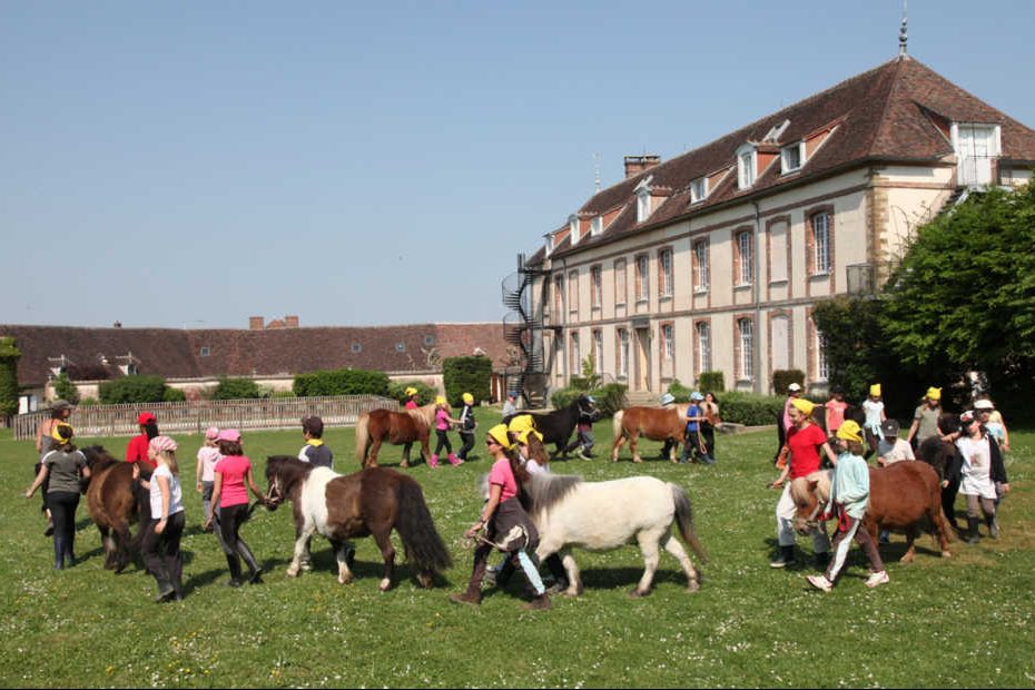 Les chevaliers et leurs poneys réalisent une activité près du château des Terrasses Cavaliers en herbe et petits fermiers