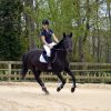 Au galop à Val-en-Pré chez Poneys des quatre saisons