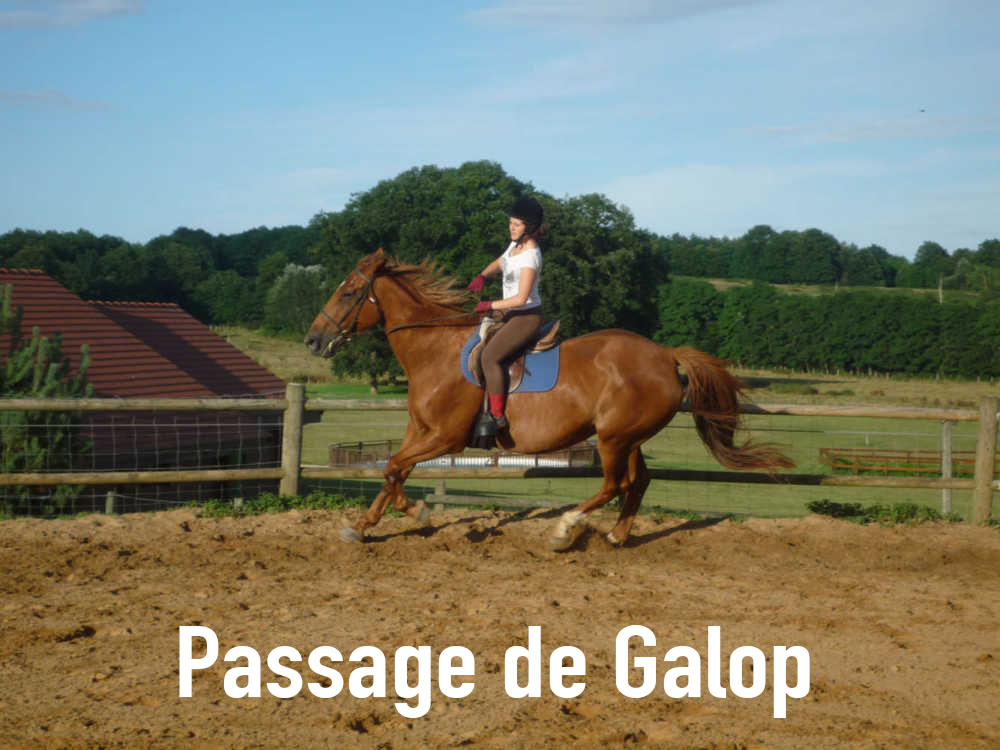 École d'équitation à Lyon: passage des galops 1 à 7